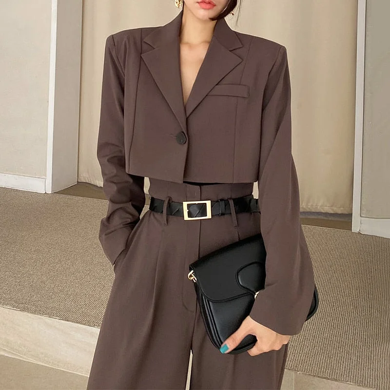 Vintage Office Long Sleeve Short Blazer + High Waist Wide Leg Long Pants 2 Piece Blazer